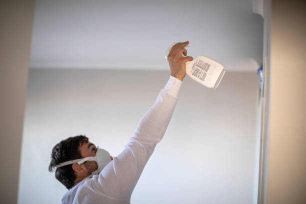 Best Crawl Space Mold Removal  in Wharton, NJ