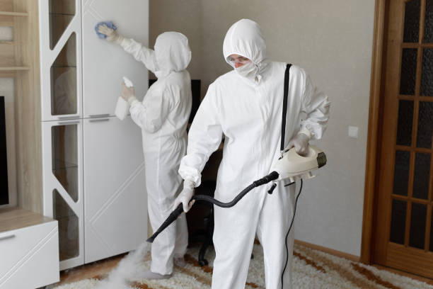 Mold Removal and Inspection in Wharton, NJ
